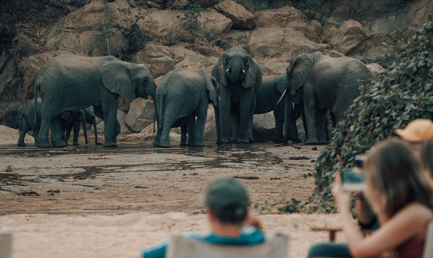 Enjoy Manyara guided walking