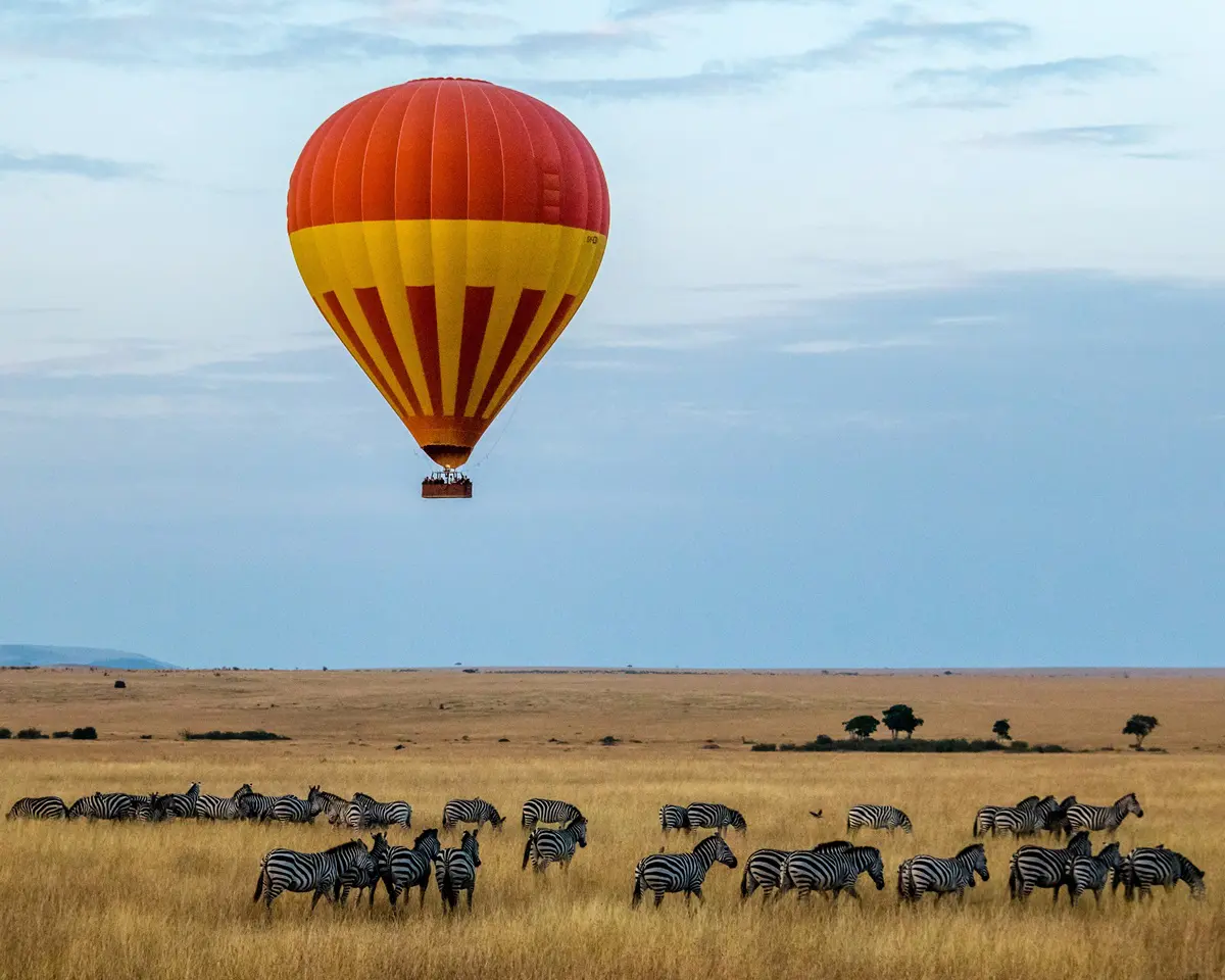 BALLOON SAFARI
