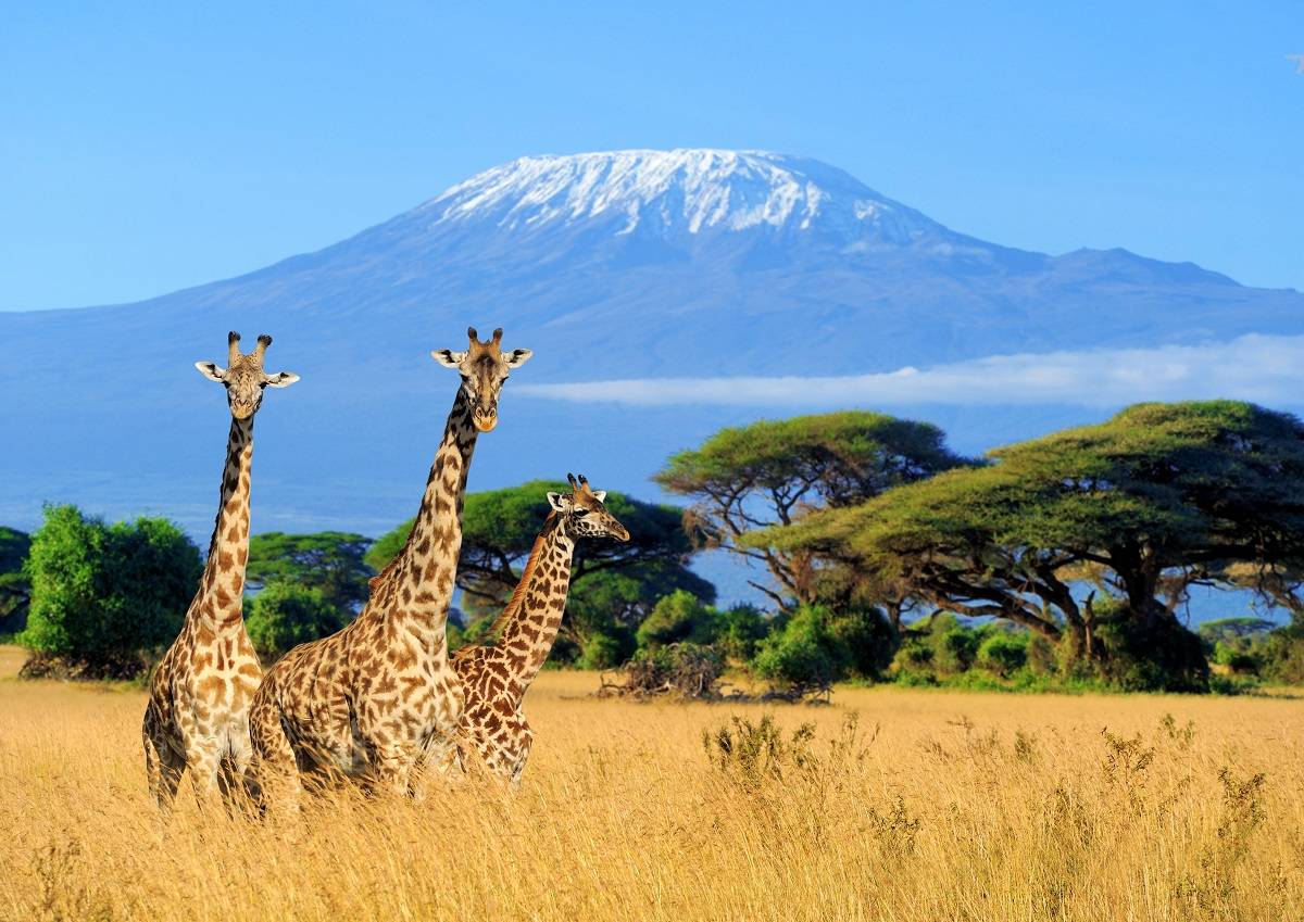 Uncover Tanzania’s hidden gems through adventure.  5 Days