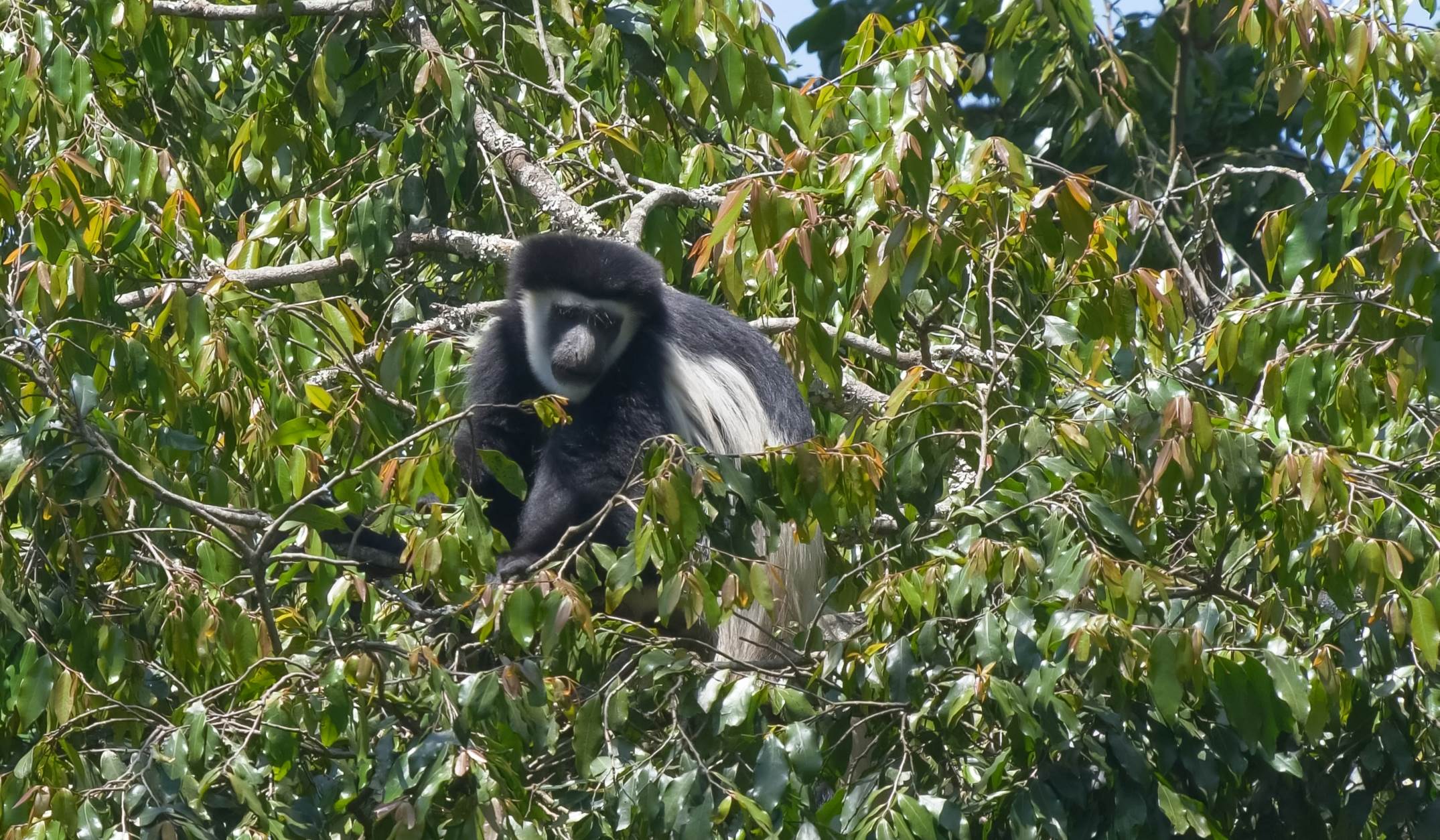 ARUSHA NATIONAL PARK
